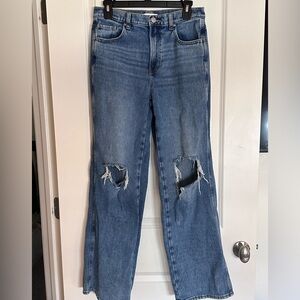 Pacsun Baggy Ripped Wide Leg Jeans